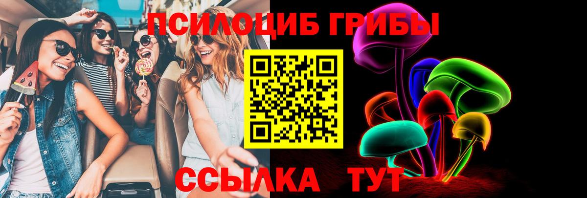 Рыбинск  Псилоцибиновые грибы Psilocybe  Вход с VPN  где купить наркоту  Галлюциногенные грибы прущие грибы 